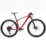 ROCKRIDER XC 900 29'' CARBON GX EAGLE LUNAR HALBSTARRES MTB-FAHRRAD